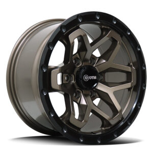 DTM Hd 2836 | Leclerc SATIN BRONZE 17×9 6×139 15P