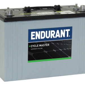 Endurant AGM Deep Cycle Battery A31DT