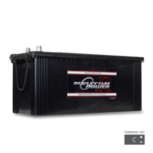 Neuton Power N120 Mf Commercial Battery NPN120