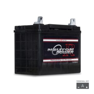 Neuton Power Mf 300 Cca Lawnmower Battery NPNU1300R