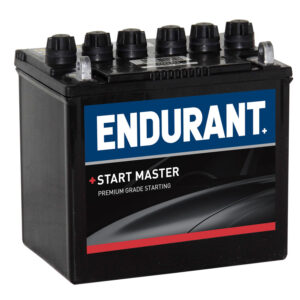 Endurant Automotive Starting Battery 12N24/3