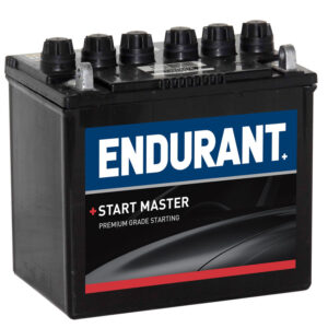 Endurant Automotive Starting Battery 12N24/4