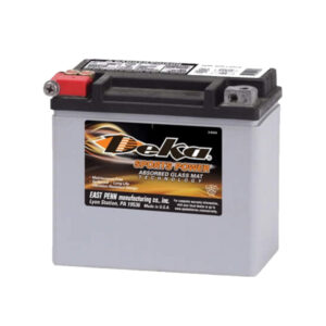 Deka Powersport Battery ETX14