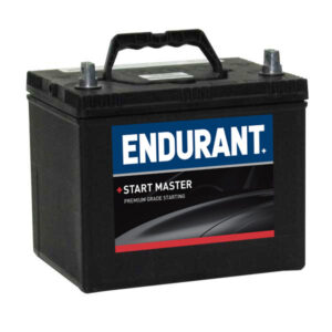 Endurant Automotive Starting Battery 156/11F