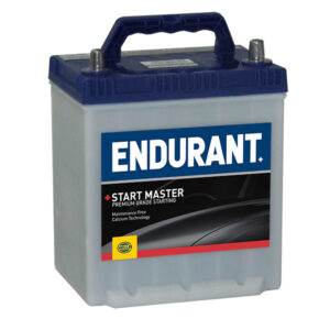 Endurant Auxiliary Starting Battery NS40FLPP