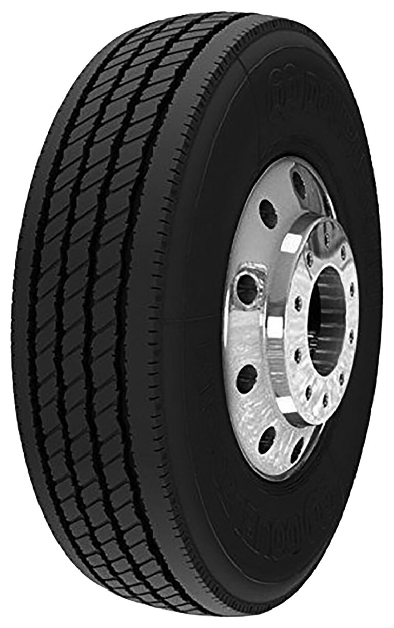 Double Coin RT600 8R19.5