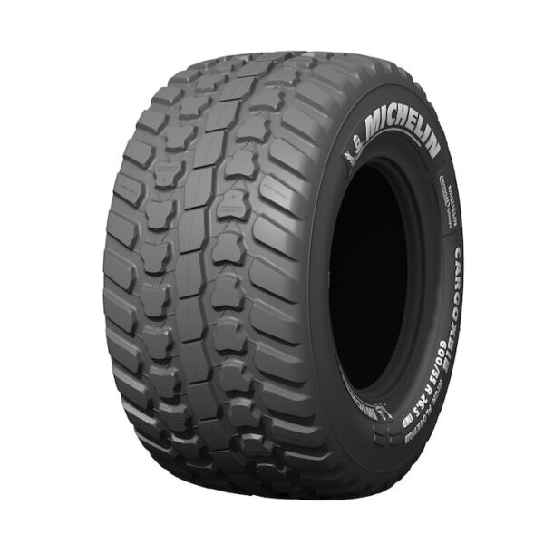 Michelin Cargoxbib Hf TL 600/55R26.5 170D